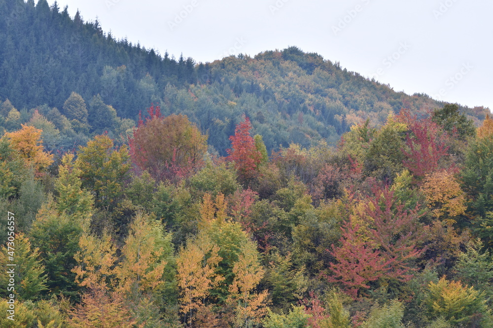 autumn in the mountains