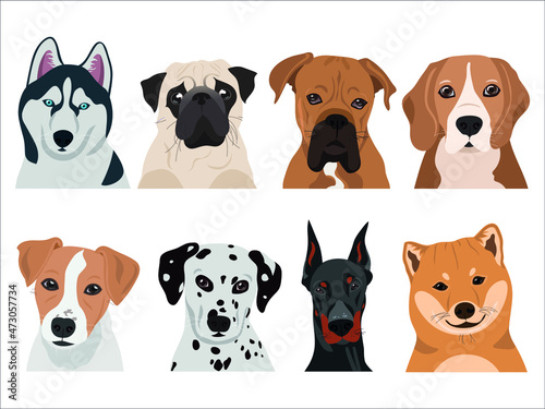 Set of dogs in vector (husky, pug, boxer, beagle, jack russell, dalmatian, doberman, shiba Inu)