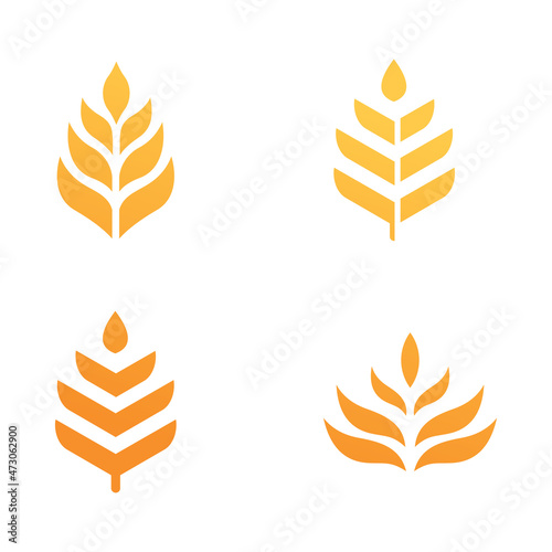 wheat grain logo set