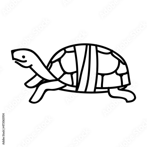 Injured tortoise shell carapace icon. Hand drawn vector illustration.