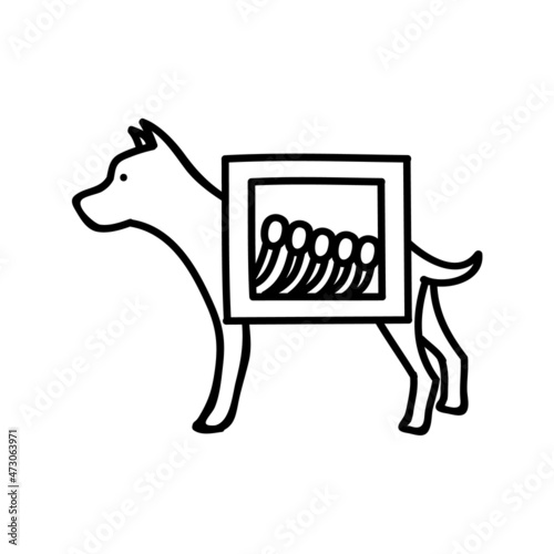 X-ray view of dog skeleton. Hand drawn vector illustration.