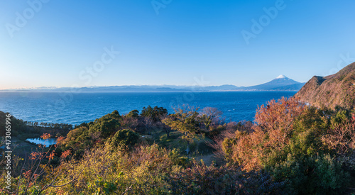 初冬の伊豆半島 井田から見る富士山の風景