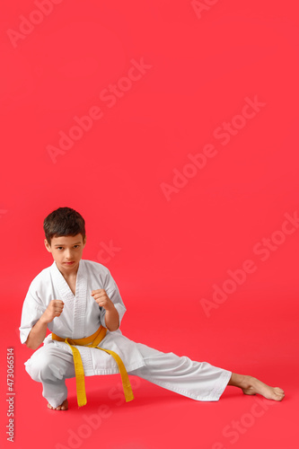 Little boy practicing karat...