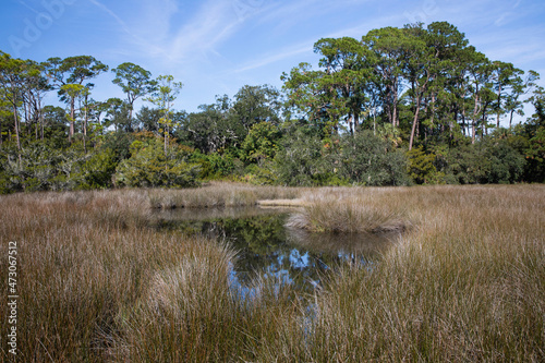 A view of the saltmarsh at Fort Mose Historic State Park.