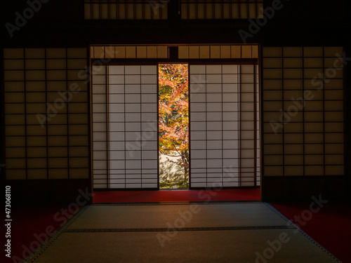 京都　雲龍院　窓から見る紅葉の庭　
