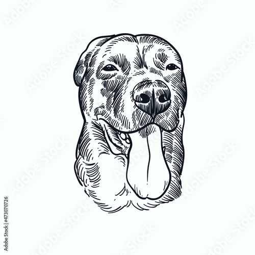 Vintage hand drawn sketch smile dog