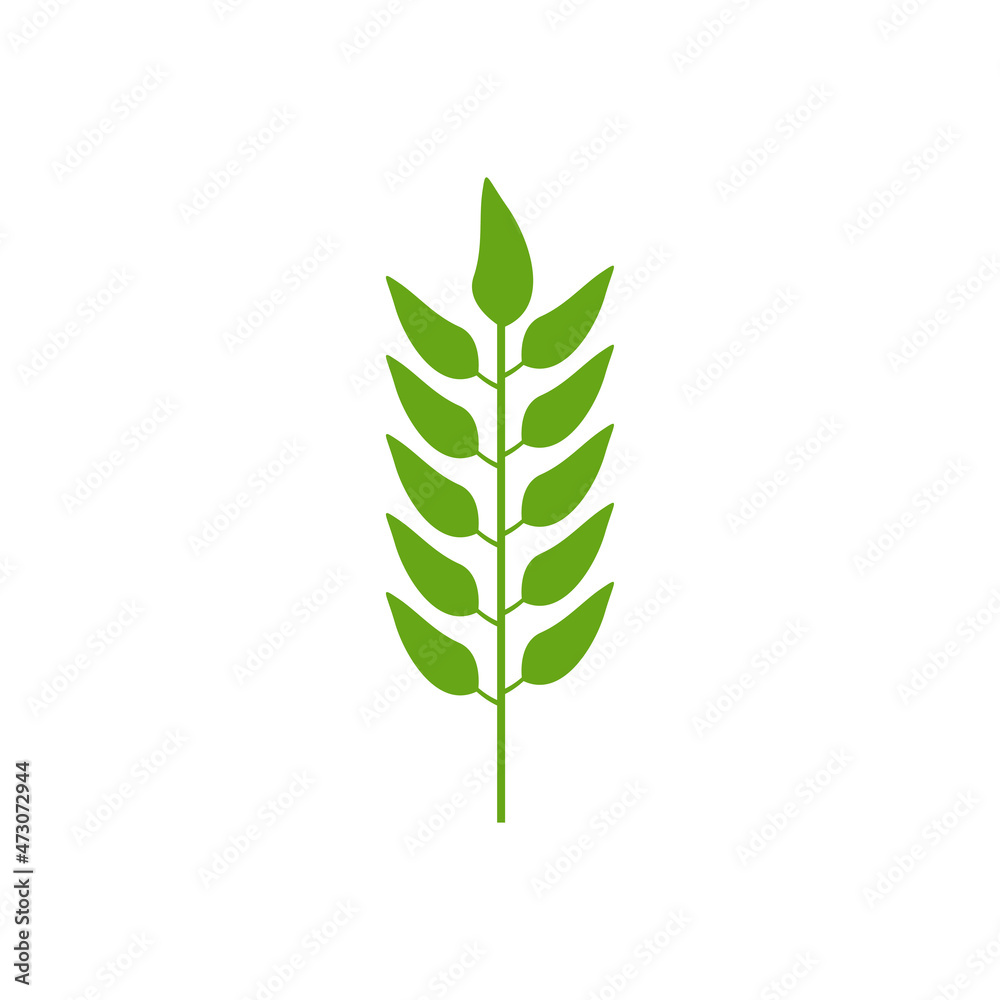 green leaf graphic design template vector