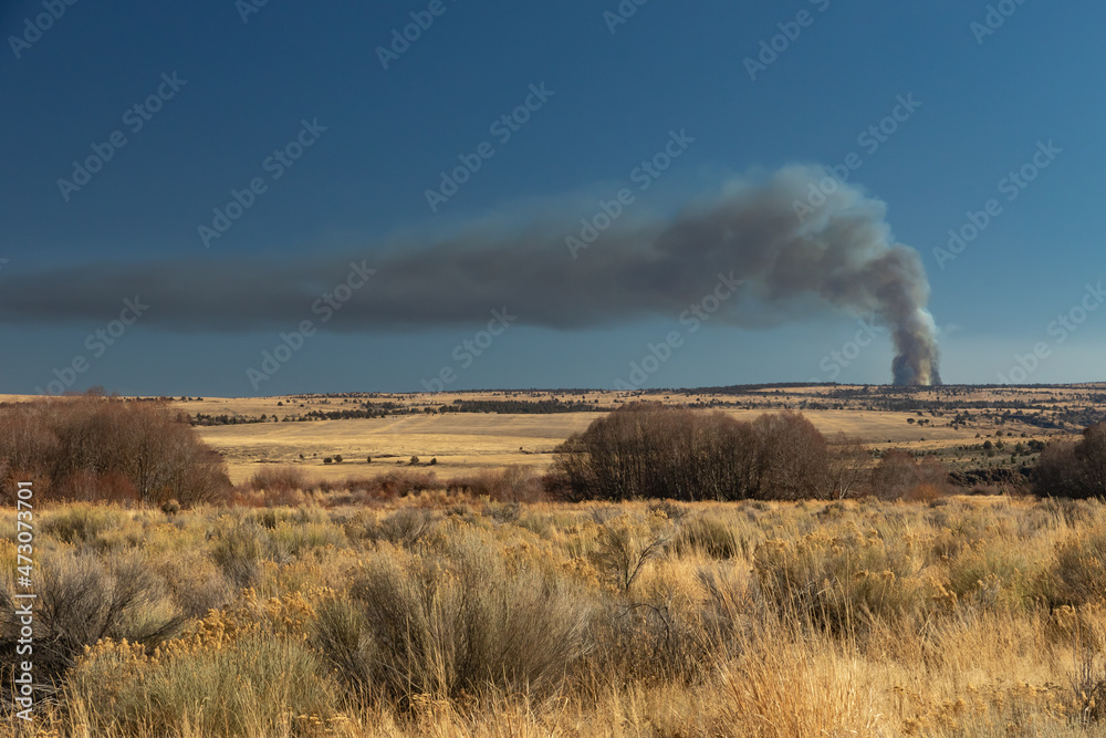 controlled burn in the Steen mountains controlled burn in the Steen mountains