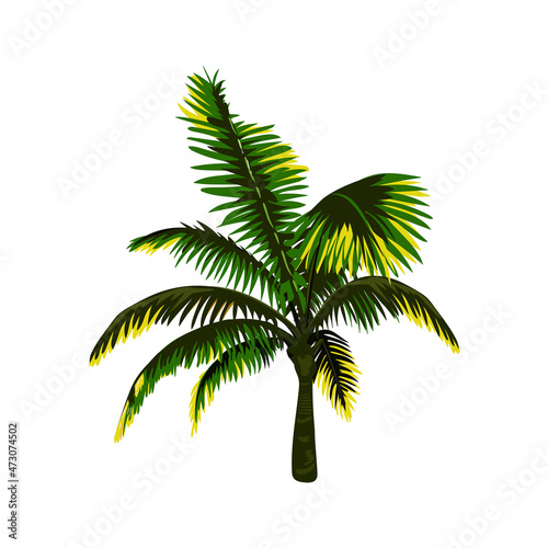 palm tree vector. vector illustration. eps