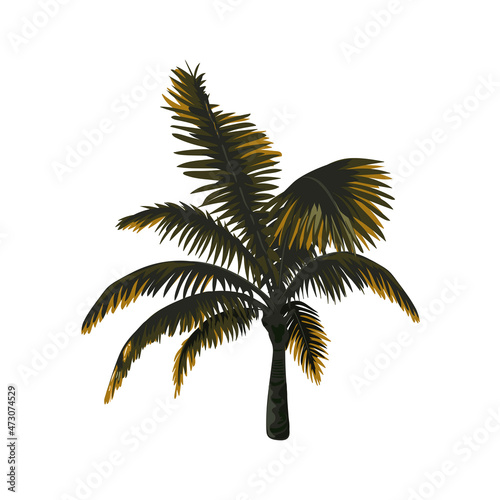 small palm tree vector. vector illustration. eps