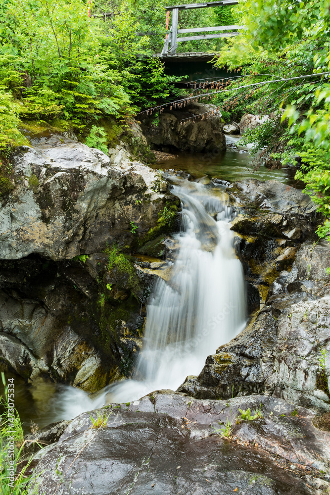 Fototapeta premium waterfall in the forest