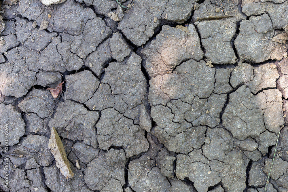 Dry cracked earth, the result of lack of moisture, dried vegetation during the dry season. Dry cracked earth, the result of lack of moisture, dried vegetation during the dry season.