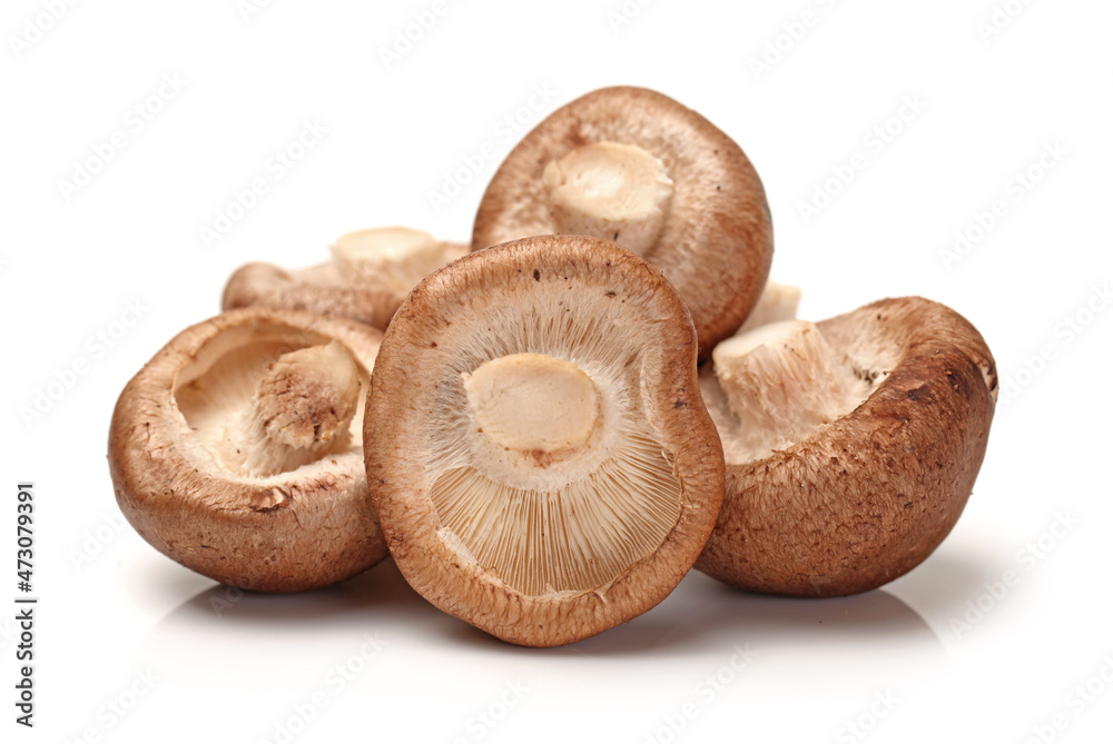 Shiitake mushroom on the White background Shiitake mushroom on the White background