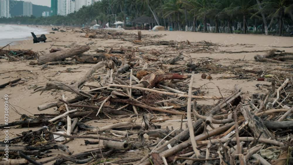 Beach after tropical depression. Rubbish, hundreds of trees, trash bags, plastic bags, trash cans are strewn across the beach after high tide. Beach after tropical depression. Rubbish, hundreds of trees, trash bags, plastic bags, trash cans are strewn across the beach after high tide.