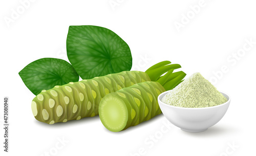 Whole root of wasabi with half, two leaves and natural pale green powder in a white bowl. Realistic vector illustration. Side view.