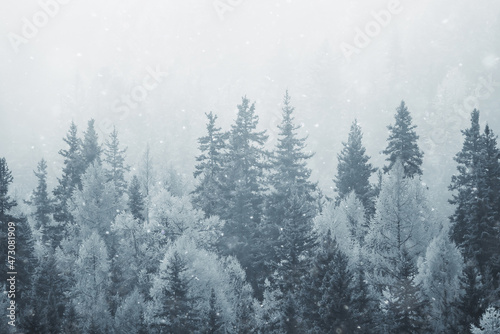 winter background snowfall trees abstract blurred white
