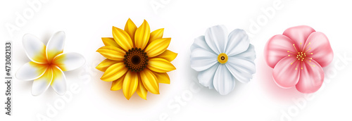 Spring flowers vector set design. Bloom flowers collection of sunflower, plumeria, cherry blossom and cosmos nature plants isolated in white background for spring seasonal ornament.