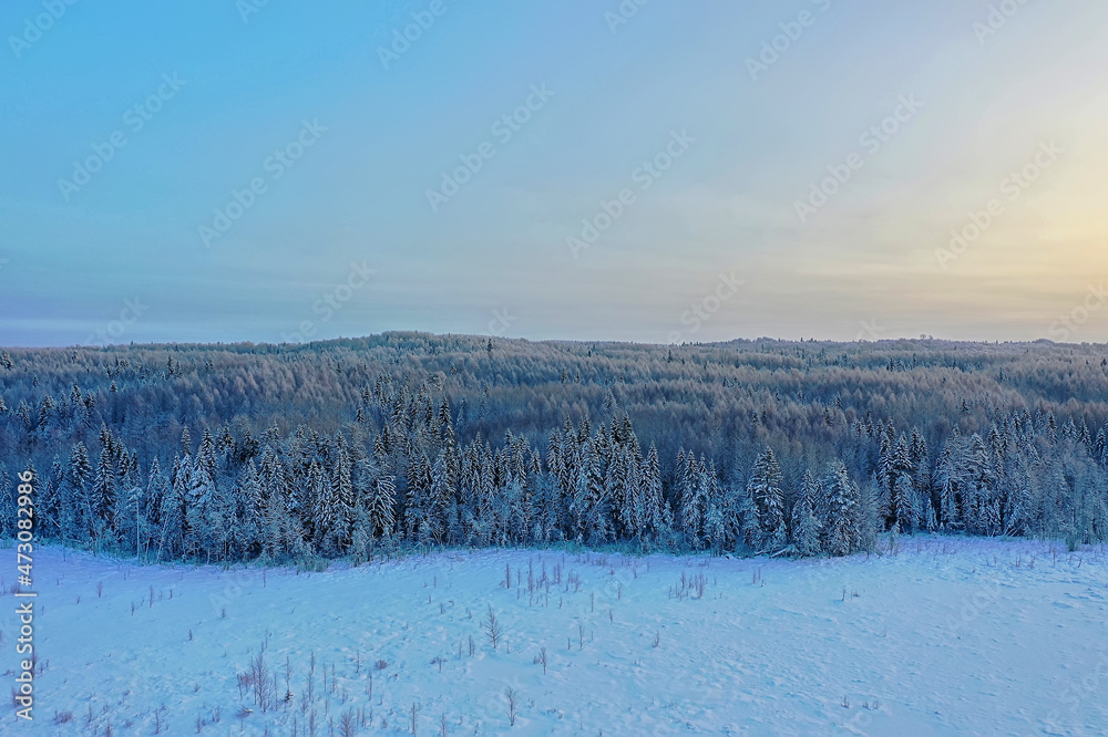 trees forest frost top view background, abstract drone view nature seasonal winter spruce trees forest frost top view background, abstract drone view nature seasonal winter spruce