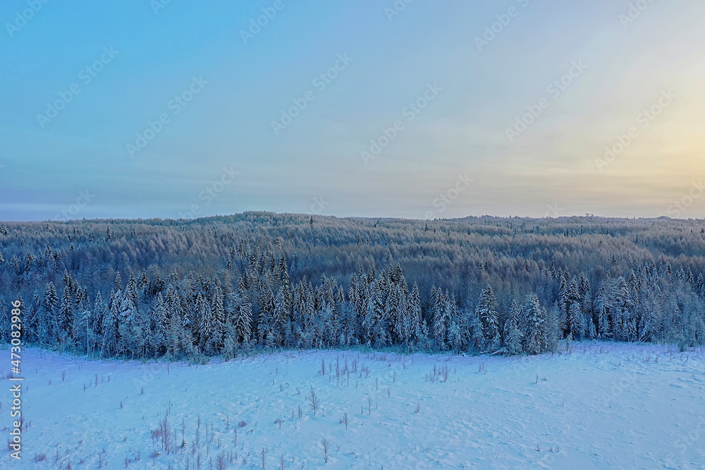 trees forest frost top view background, abstract drone view nature seasonal winter spruce