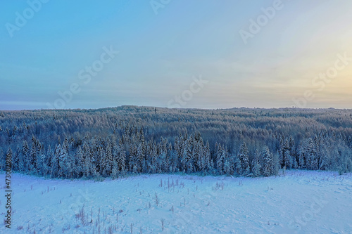 trees forest frost top view background, abstract drone view nature seasonal winter spruce © kichigin19