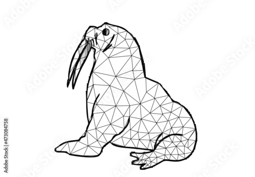 This is an image of walrus.