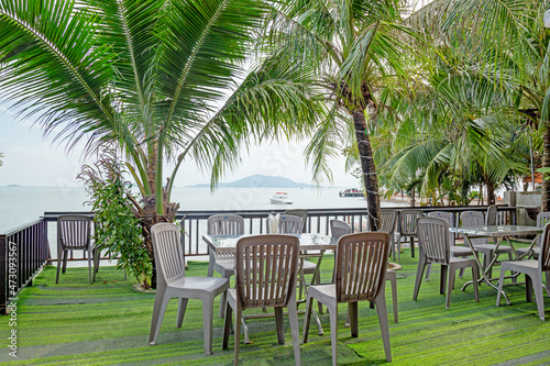Seaside fresh air under green coconut