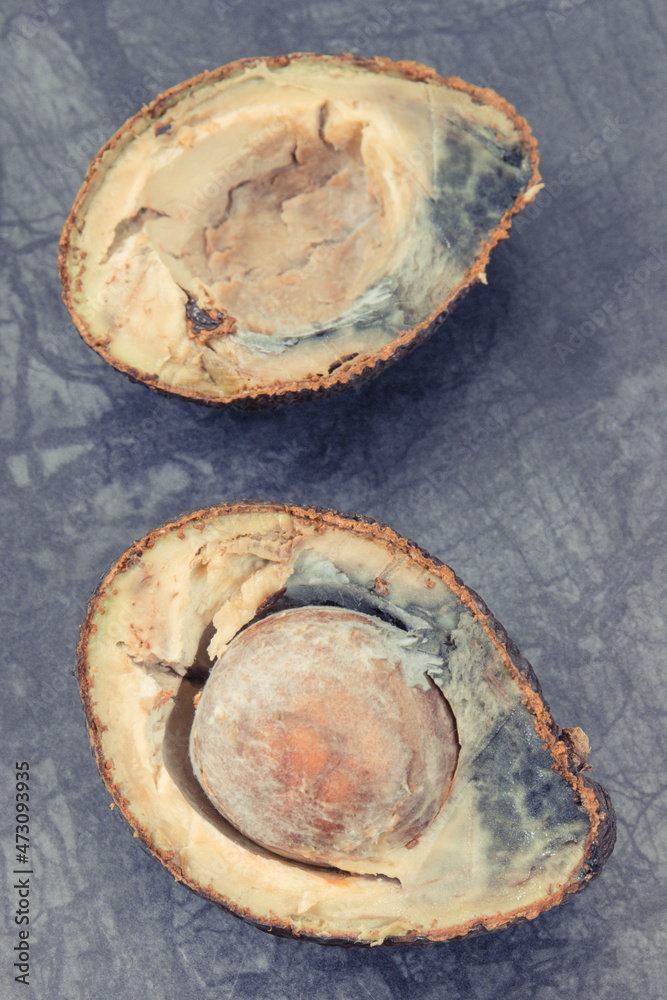Inedible avocado with mold. Dark background. Unhealthy food Inedible avocado with mold. Dark background. Unhealthy food