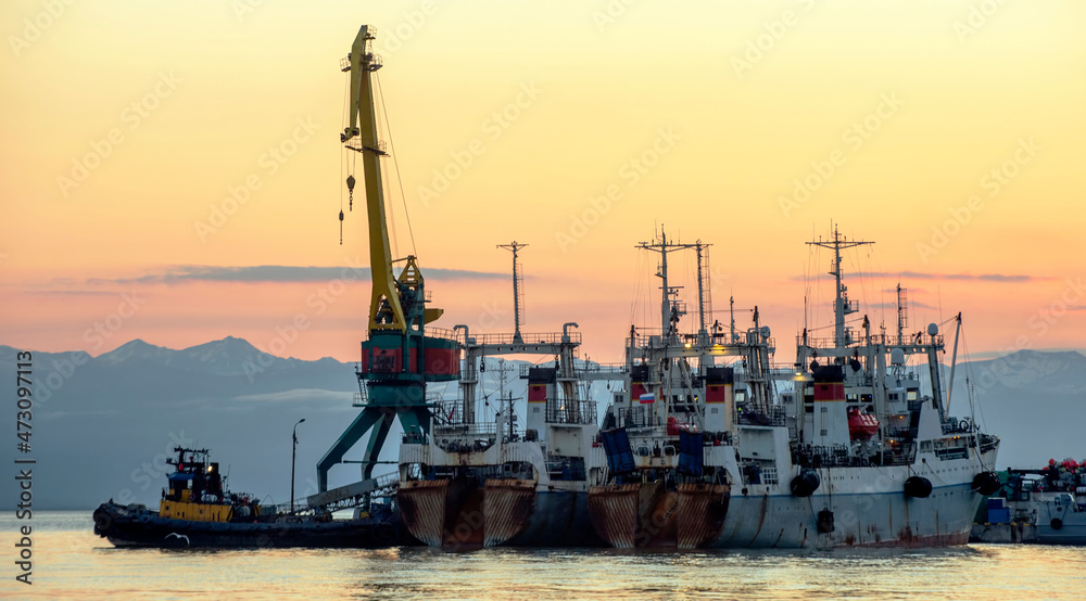 Kamchatka Peninsula, Russia. Seaport in Petropavlovsk-Kamchatsky. Fishing ships unloading
Kamchatka Peninsula, Russia. Seaport in Petropavlovsk-Kamchatsky. Fishing ships unloading