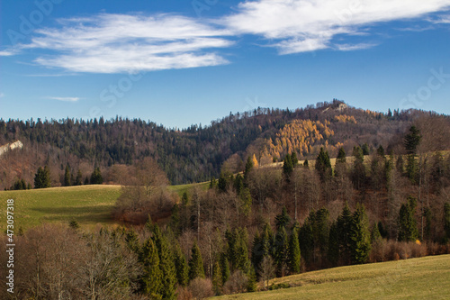 Podobny obraz
