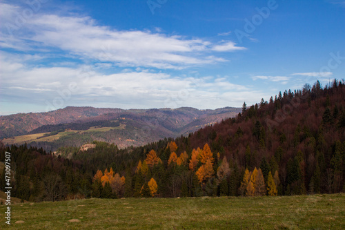 Piękna jesień w Pieninach