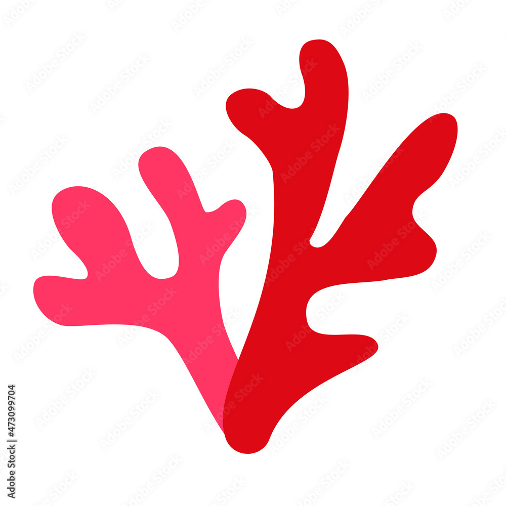 Two coral twigs isolated background Two coral twigs isolated background