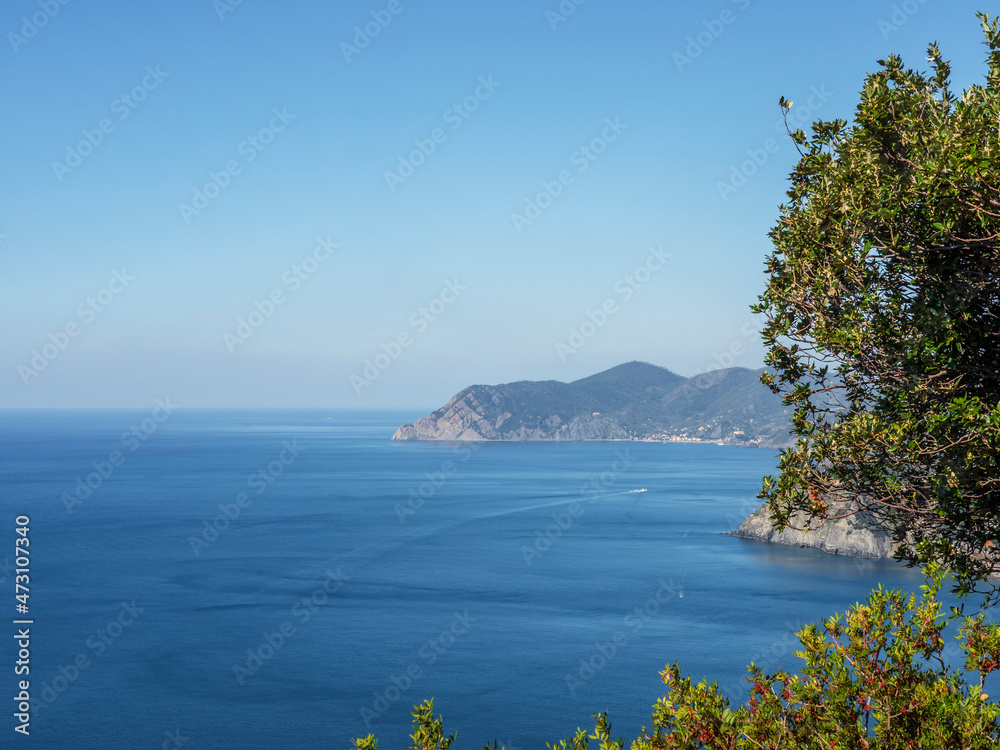 View of the vineyard on the terraces of Manarola in the Cinque Terre in Italy