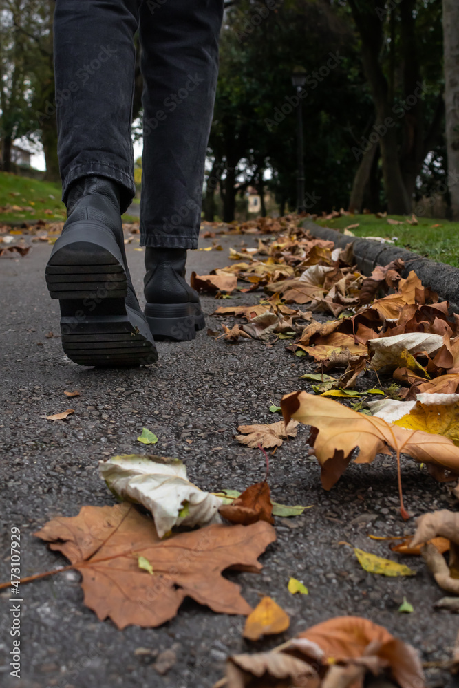 Fototapeta premium A person walks through a park among the dry leaves of autumn. 