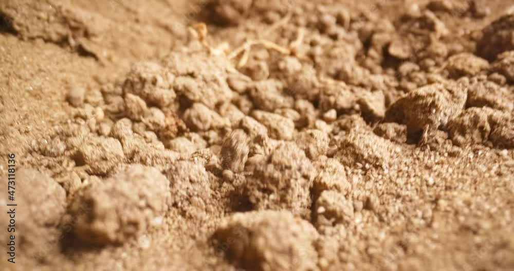 Soil stirring up while earthquake Soil stirring up while earthquake