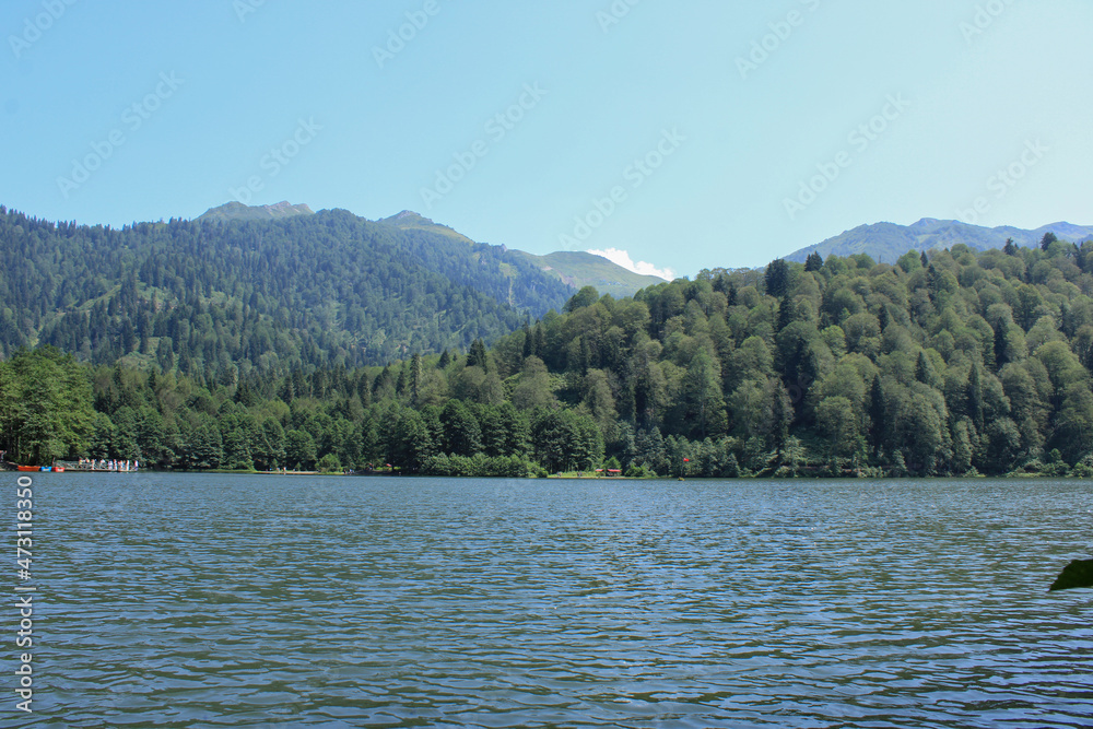 natural forest lake landscape photo