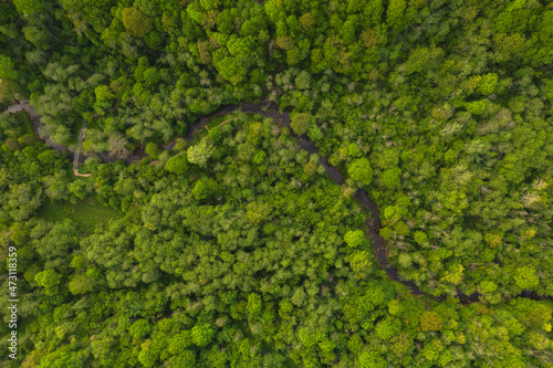 Drone view of summer forest from above with small spring © M