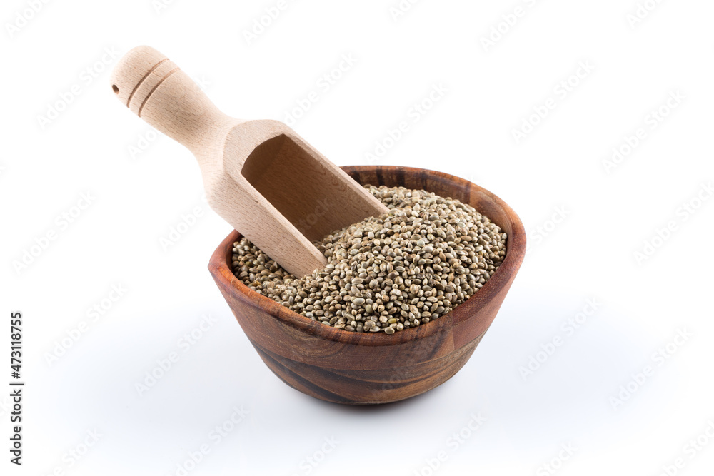 Cannabis Hemp seeds in scoop on white Cannabis Hemp seeds in scoop on white