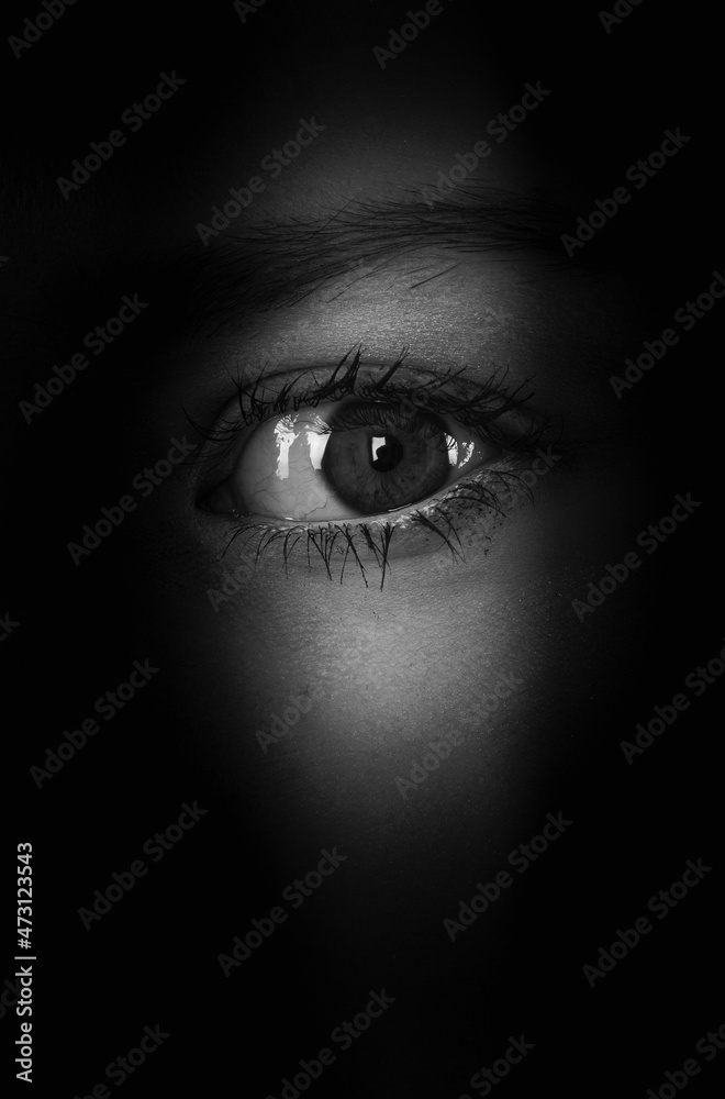 eyes in the shadows