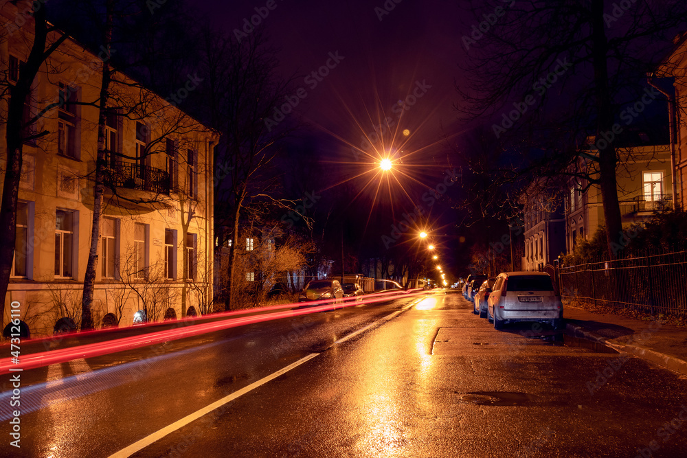 Night city street with lights of passing car, trees and street lamps
