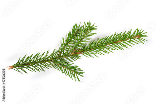 Spruce branch. Fir Christmas Tree. Green pine, spruce branch with needles. Isolated on white background with shadows. Close up top view.