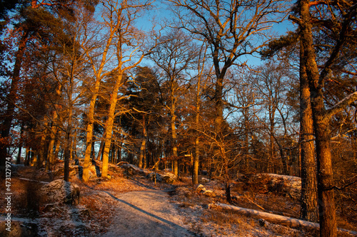 Early winter sunset and the first snow on a walking trail near Wiks castle, Uppsala region, Sweden © Alena V