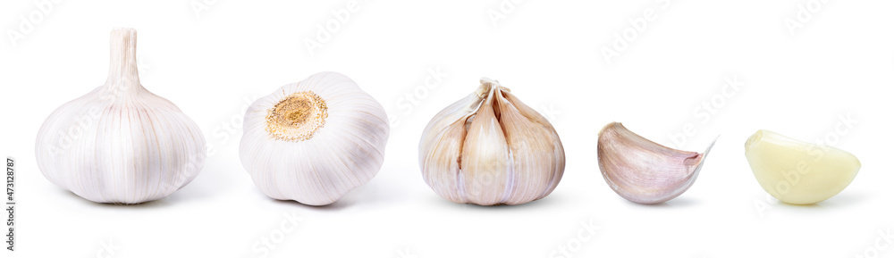 Obraz premium Set of garlic clove and bulb isolated on white background.