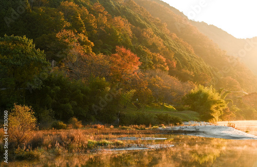 朝日を浴びる渓谷の紅葉 © Yosora