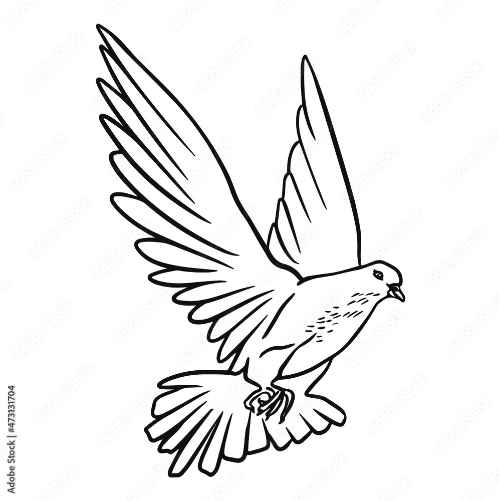 Obraz premium Dove of peace. Holy spirit doodle illustration vector