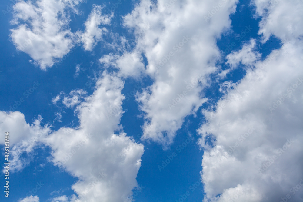 Fototapeta premium blue sky with white clouds