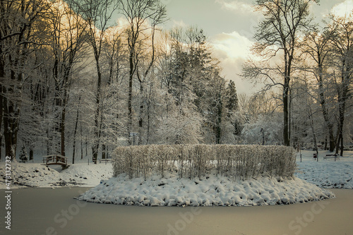 Zamarznięty staw w parku - Jaworze zimą