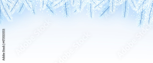 Winter top frame with blue and white spruce branches and snow.