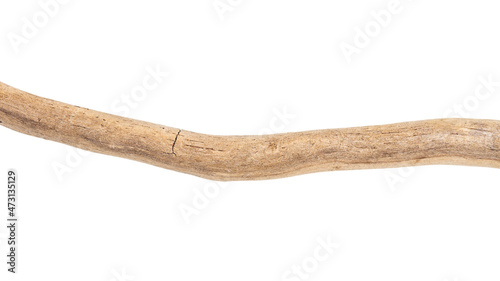 Part of driftwood isolated on white