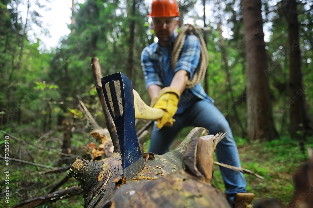 Male worker with an ax chopping a tree in the forest. Male worker with an ax chopping a tree in the forest.