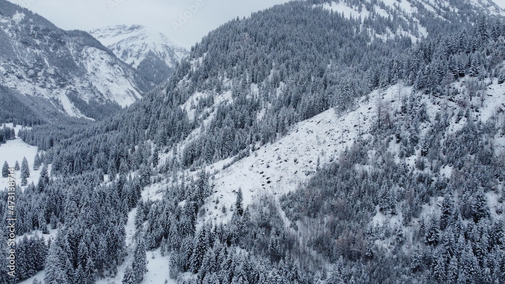 Fototapeta premium bosque en la montaña cubierto por nieve, foto tomada de un drone.